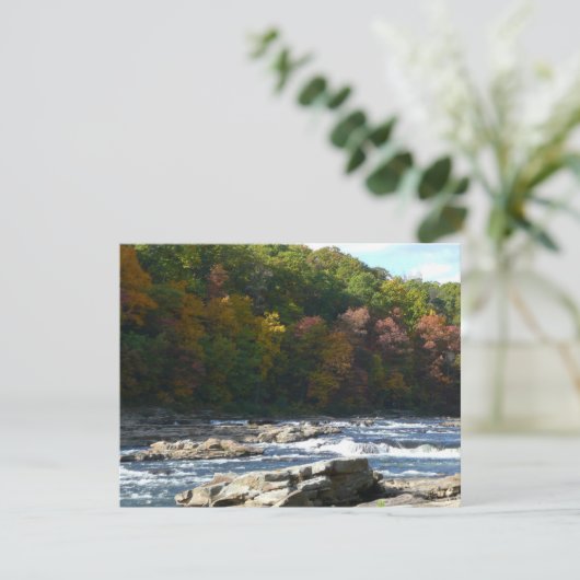 Ohiopyle Rapids in Herfst Pennsylvania (Staand voorkant)