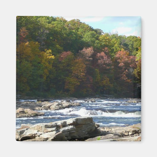 Ohiopyle Rapids in Herfst Pennsylvania Magneet (Voorkant)