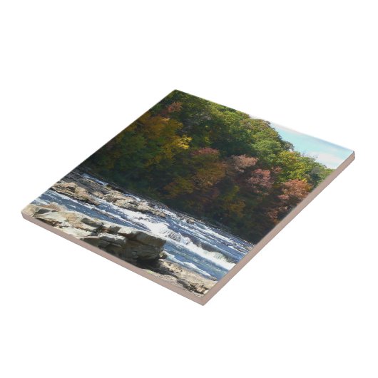 Ohiopyle Rapids in Herfst Pennsylvania Tegeltje (Zijkant)