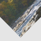 Ohiopyle Rapids in Herfst Pennsylvania Tissuepapier (Detail)