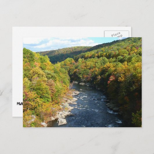 Ohiopyle River in Herfst I Pennsylvania Autumn Briefkaart (Voorkant / Achterkant)