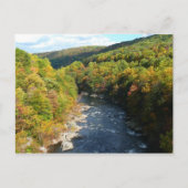 Ohiopyle River in Herfst I Pennsylvania Autumn Briefkaart (Voorkant)