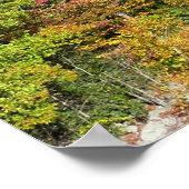 Ohiopyle River in Herfst I Pennsylvania Autumn Poster (Hoek)