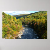 Ohiopyle River in Herfst I Pennsylvania Autumn Poster (Voorkant)