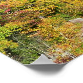 Ohiopyle rivier in de herfst I Pennsylvania herfst Poster (Hoek)