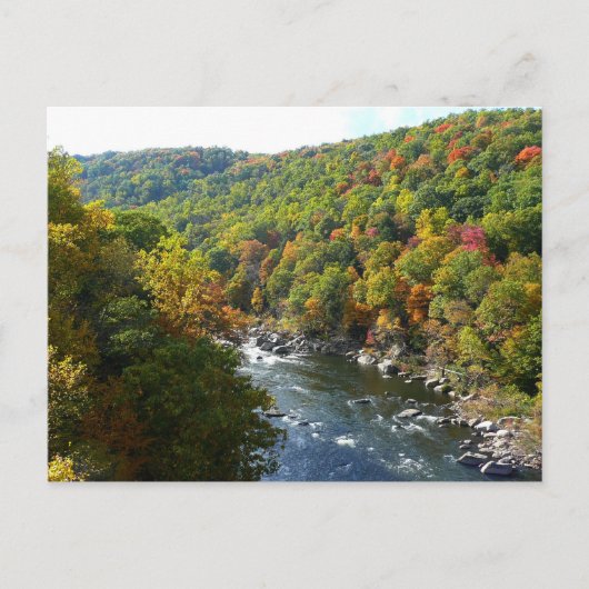 Ohiopyle rivier in Herfst II Autumn Pennsylvania Briefkaart (Voorkant)
