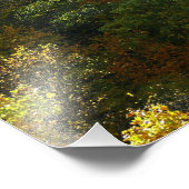 Ohiopyle rivier in Herfst II Autumn Pennsylvania Foto Afdruk (Hoek)