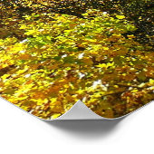 Ohiopyle rivier in Herfst II Autumn Pennsylvania Poster (Hoek)