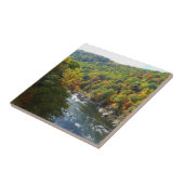 Ohiopyle rivier in Herfst II Autumn Pennsylvania Tegeltje (Zijkant)