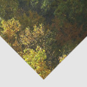 Ohiopyle rivier in Herfst II Autumn Pennsylvania Tissuepapier (Detail)