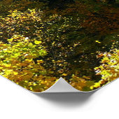 Ohiopyle rivier in herfst II Pennsylvania herfst Poster (Hoek)