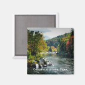 Ohiopyle State Park Magnet (Voorkant / Achterkant)