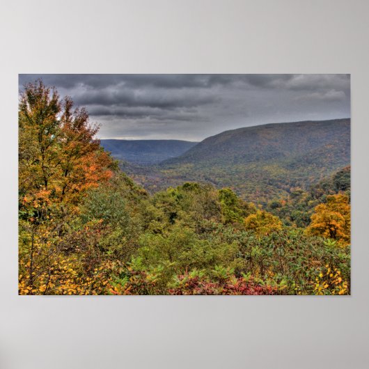 Ohiopyle Valley Overlook in Autumn, Pennsylvania Poster (Voorkant)