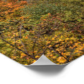 Ohiopyle Valley Overlook in Autumn, Pennsylvania Poster (Hoek)