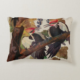 Ohn James Audubon Grote Specht Vogelprent Accent Kussen