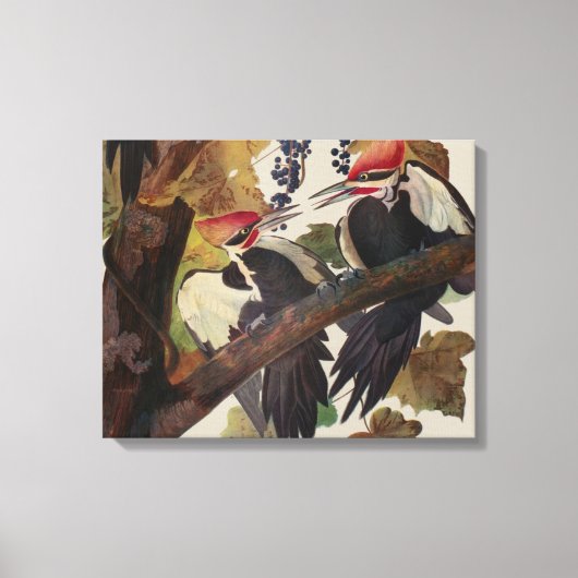 Ohn James Audubon Grote Specht Vogelprent Canvas Afdruk (Voorkant)