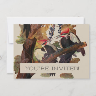 Ohn James Audubon Grote Specht Vogelprent Kaart
