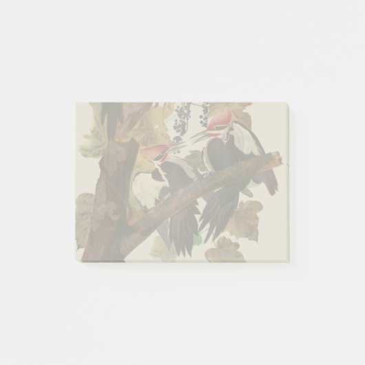 Ohn James Audubon Grote Specht Vogelprent Post-it® Notes (Voorkant)