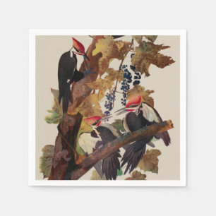 Ohn James Audubon Grote Specht Vogelprent Servet