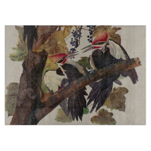 Ohn James Audubon Grote Specht Vogelprent Snijplank (Voorkant)