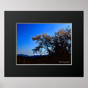 Ohuda-Hongo, Nara: Cherry Blossom ポ タ ー Poster