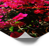 Oia Santorini, Griekenland Fotografie Poster (Hoek)