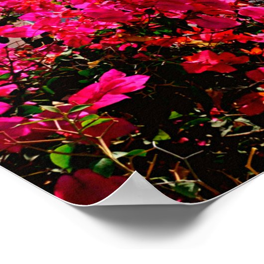 Oia Santorini, Griekenland Fotografie Poster (Hoek)