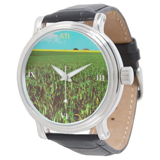 Oil Seed Prairie Horloge (Gekanteld)