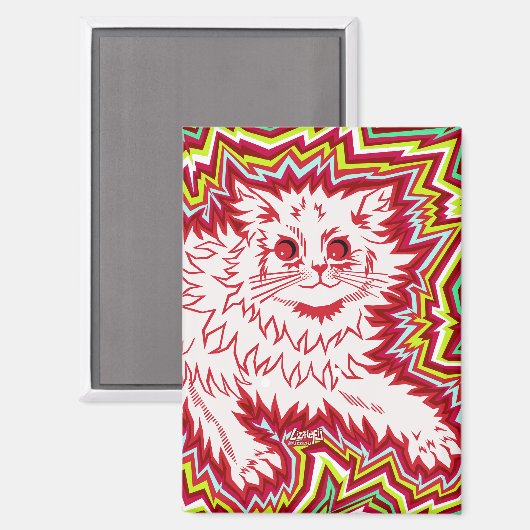 Oingo Boingo psychedelic cat magnet (Voorkant / Achterkant)
