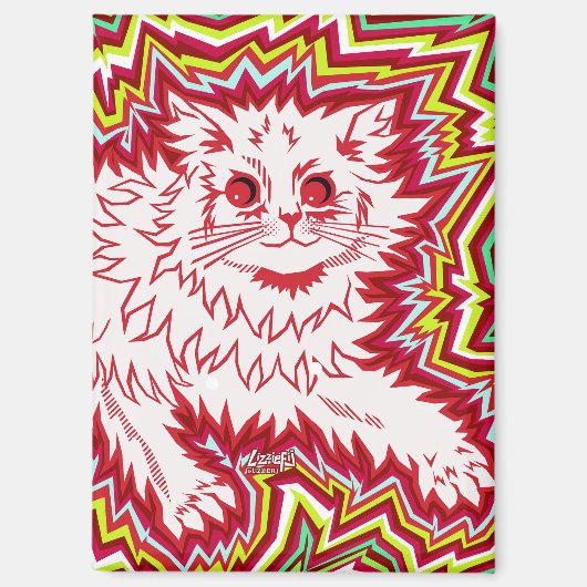 Oingo Boingo psychedelic cat magnet (Voorkant)