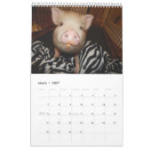 Oinking Acres Mini Pigs Kalender (Mar 2027)