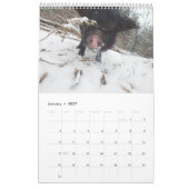 Oinking Acres Mini Pigs Kalender (Jan 2027)