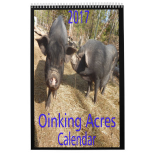 Oinking Acres Mini Pigs Kalender