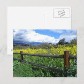 Ojai Meadows Briefkaart (Voorkant / Achterkant)