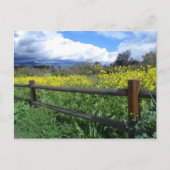 Ojai Meadows Briefkaart (Voorkant)