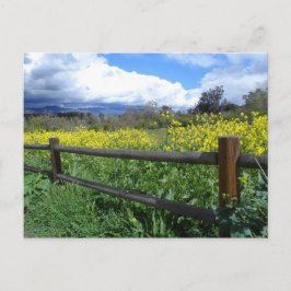 Ojai Meadows Briefkaart
