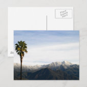 Ojai Palm Briefkaart (Voorkant / Achterkant)