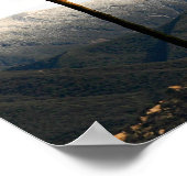 Ojai Palm Poster (Hoek)