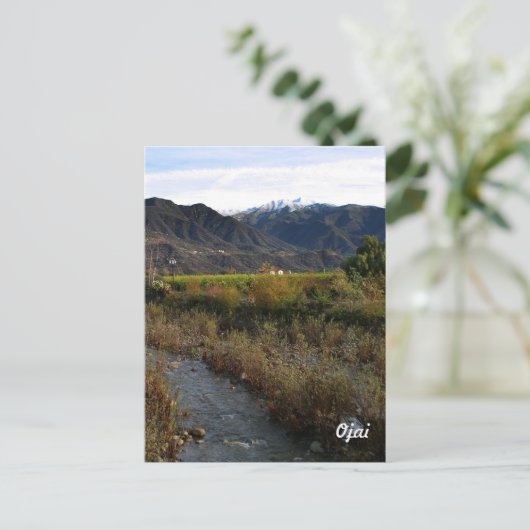 Ojai Small Creek Briefkaart (Staand voorkant)