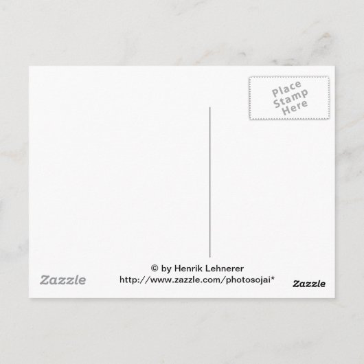 Ojai Small Creek Briefkaart (Achterkant)