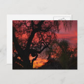 Ojai Sunset Briefkaart (Voorkant / Achterkant)