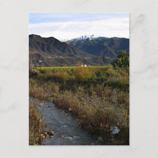Ojai Valley Briefkaart (Voorkant)
