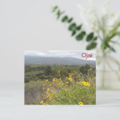 Ojai Valley, Californië Briefkaart (Staand voorkant)