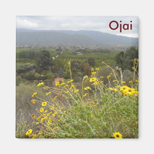 Ojai Valley, Californië Magneet (Voorkant)