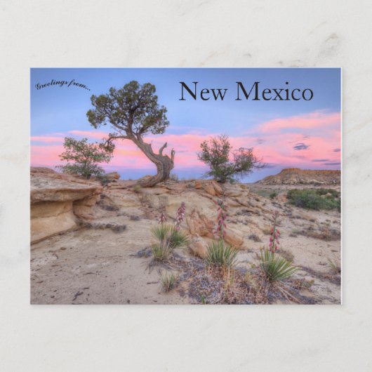 Ojito Wilderness New Mexico Briefkaart (Voorkant)