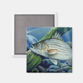 OK 2008 Bowles 1036 hoog Magneet (Voorkant / Achterkant)