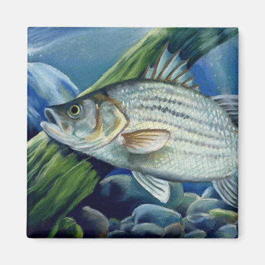 OK 2008 Bowles 1036 hoog Magneet (Voorkant)