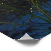 Okaloosa Poster (Hoek)