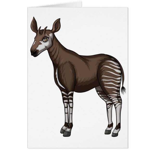 Okapi (Voorkant)