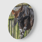 Okapi bij de klok van de dierentuin (Hoek)